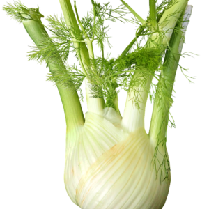 fennel, vegetable, food-3657761.jpg