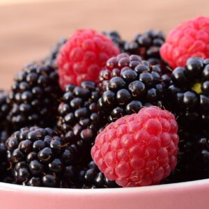 raspberries, blackberries, fruit-1550458.jpg